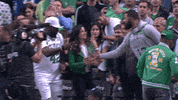 boston celtics hello GIF by NBA