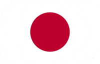 World Cup Football GIF