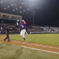 College Sports Baseball GIF by LSU Tigers