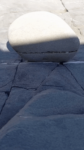 Simongip giphygifmaker GIF