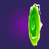 Green Bar Crypto GIF by BigBrains