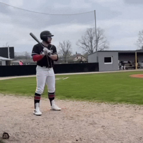 Tung Tung Bepizman GIF