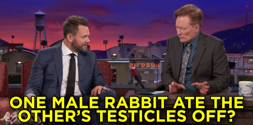 joel mchale conan obrien GIF by Team Coco