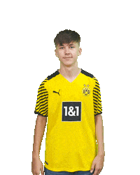 Bvb Sticker by Borussia Dortmund