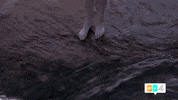 season 4 GIF by @SummerBreak