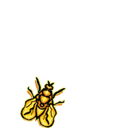 Insect Buzz Sticker