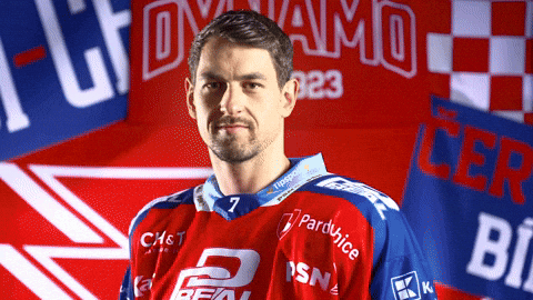 Tomas Dvorak GIF by HC Dynamo Pardubice
