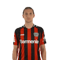 Swipe Up Sticker by Bayer 04 Leverkusen