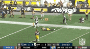 New England Patriots Football GIF by NFL