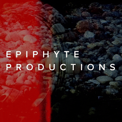epiphyteproductions giphyupload epiphyte productions GIF
