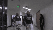 NevadaWolfPack college basketball nevada wolf pack nevada wolf pack GIF