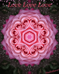 Valentines Day Love GIF