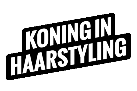 Skills Heroes Sticker by Koning Willem I College