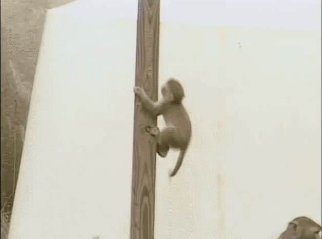 GIF by Demic