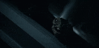 Season 1 Reptile GIF by Paramount+