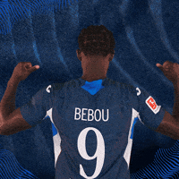 Sport Bundesliga GIF by TSG Hoffenheim