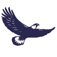 SinavYayinlari sınav sinav sınav gif sınav yayınları Sticker