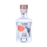 Falterona gin gintime picchio italiangin Sticker