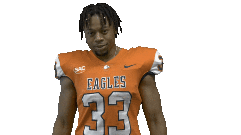 Cnfb Sticker by Carson-Newman Athletics
