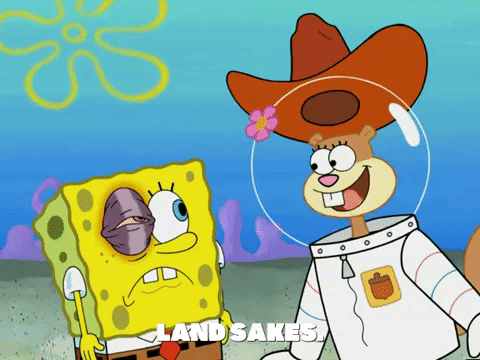season 5 blackened sponge GIF by SpongeBob SquarePants