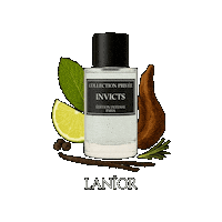 Parfum Grapefruit Sticker by Lanior