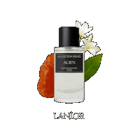 Amber Parfum Sticker by Lanior