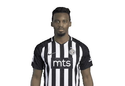 Partizan Sticker by sportmts