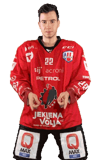 Hockey Swipeup Sticker by HDD SIJ Acroni Jesenice