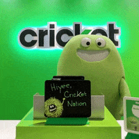 Going Down Dante GIF by Cricket Wireless