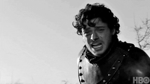 robb stark GIF