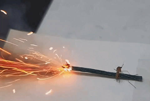 JIHYUNGKIM giphyupload GIF