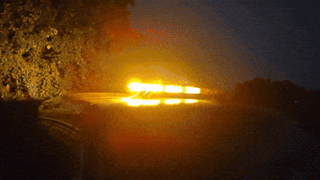 Strobe Lights GIF by AgriEyes