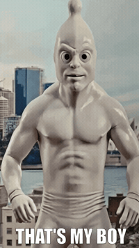 fourseasonscondoms fourseasons chlamy riseofthestis GIF