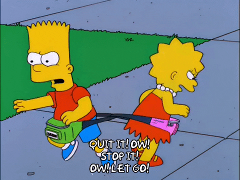 the simpsons episode 3 GIF