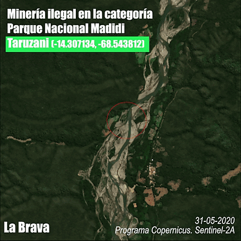 LaBravaRevista giphyupload GIF