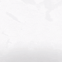 Hockey Home GIF by Eisbären Berlin