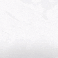 Hockey Home GIF by Eisbären Berlin