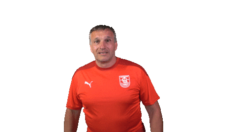 tusbersenbrueck giphyupload mc bsb michele Sticker