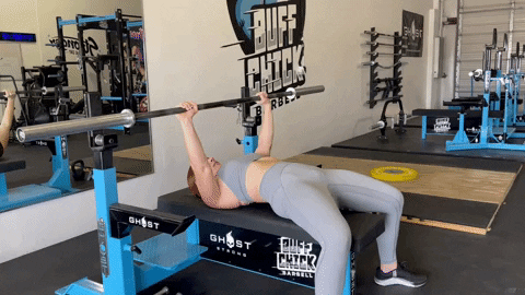 megsquats giphyupload GIF