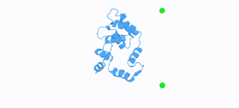 StowersSocialMedia giphygifmaker GIF