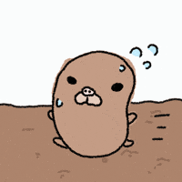 Ttn GIF