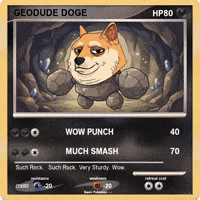 Shiba Inu Wow GIF by Doge Pound