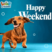 Happy Puppy Love GIF by Lucas and Friends by RV AppStudios