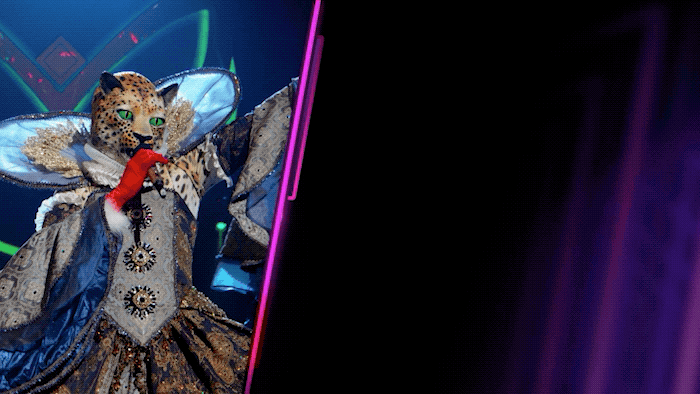 Fox GIF by The Masked Singer