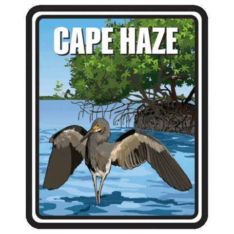 Aquatic Preserve Sticker by FLDEP