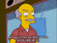 episode 7 GIF