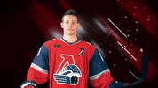 HClokomotiv loko lokomotiv локомотив локо GIF