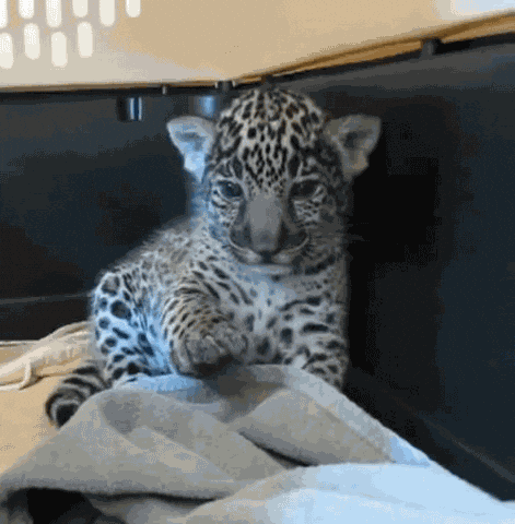 Chill Positive Vibes GIF
