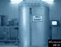 Walt Disney GIF