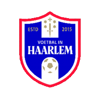 Voetbal_in_Haarlem  Sticker